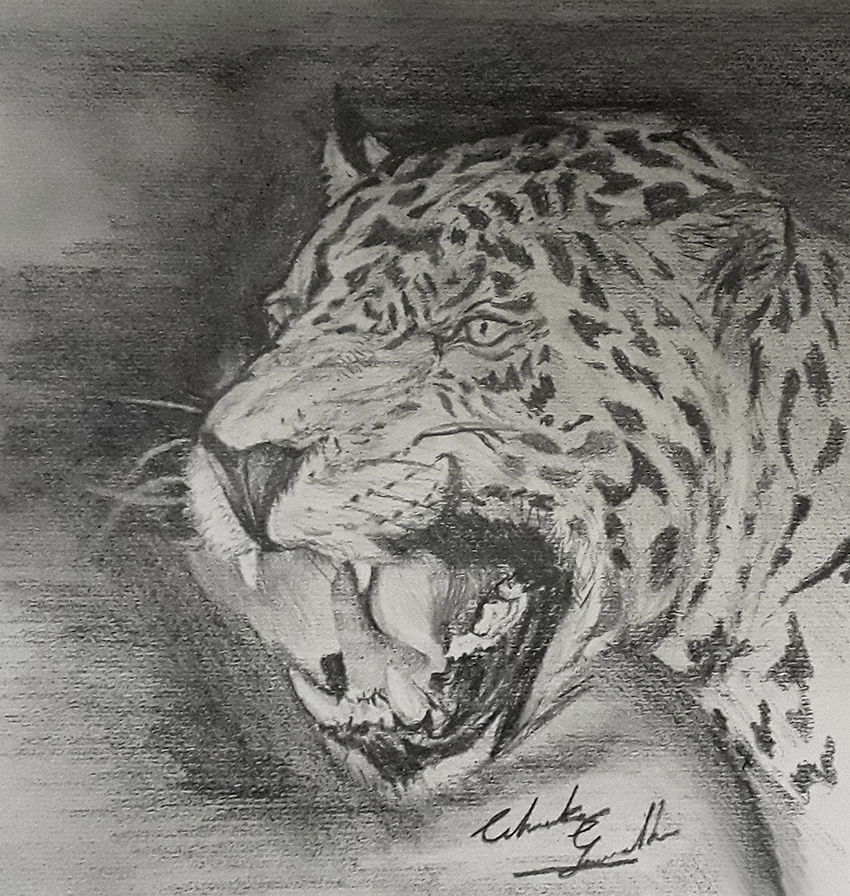 Leopard